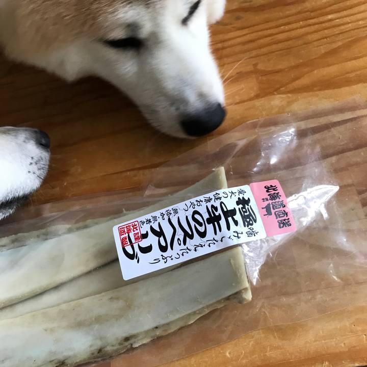 725fa06d a4d4 4ddb b08e 7b38f1347474