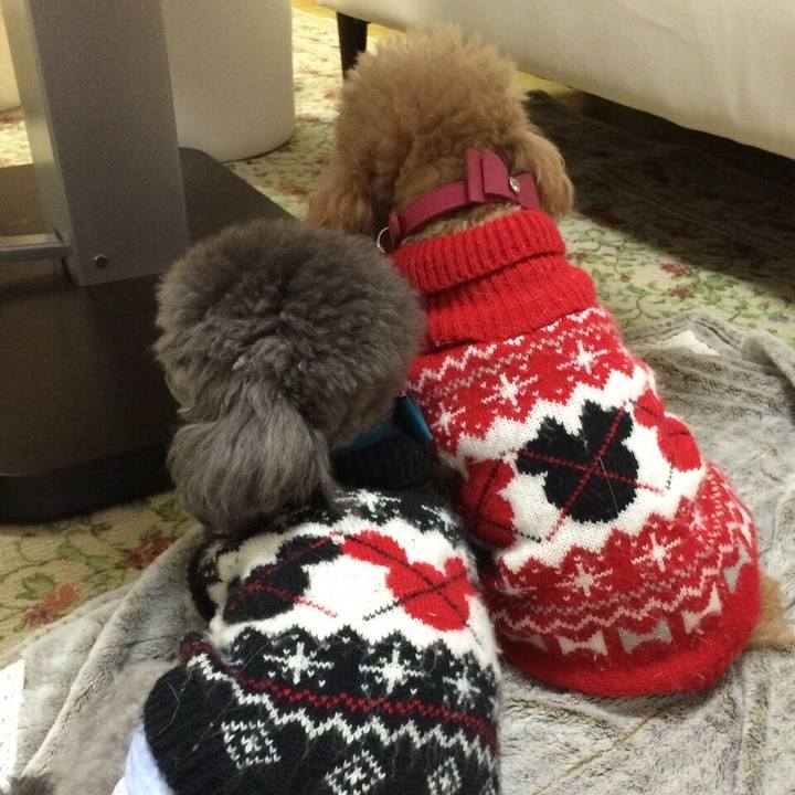 725fc364 b3f3 45fe 8b40 0c1c6ccb1451