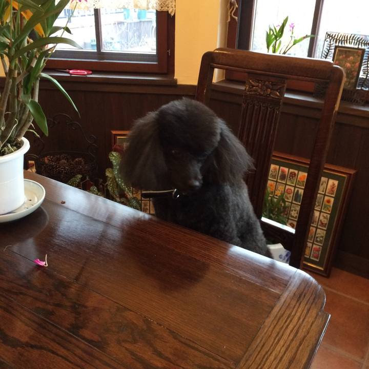 72611d64 f03d 4bf3 bd27 5469e7c1cbad