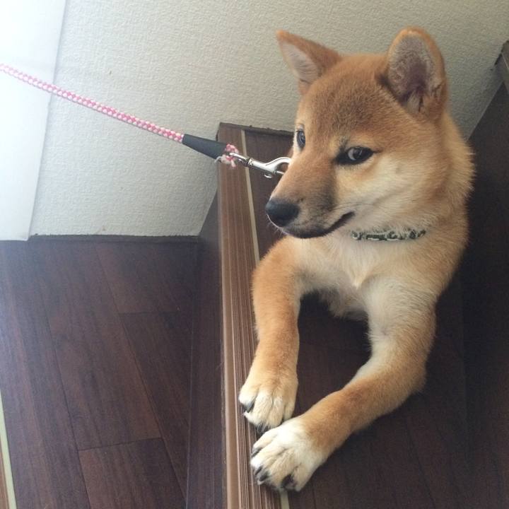 7261b8f2 70fa 4223 9b47 46a8a96411d2