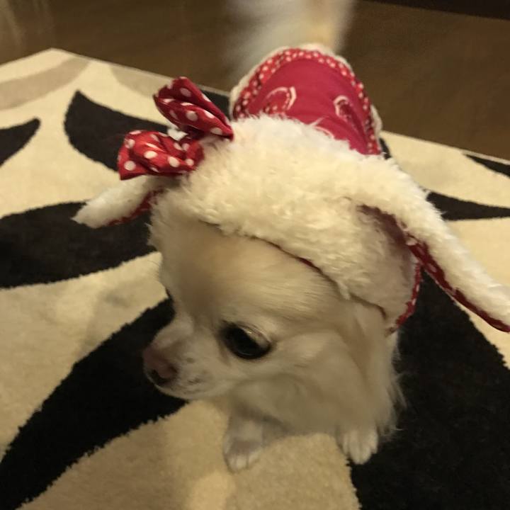 7261fef4 6823 4fe8 bf62 de8c897320ff