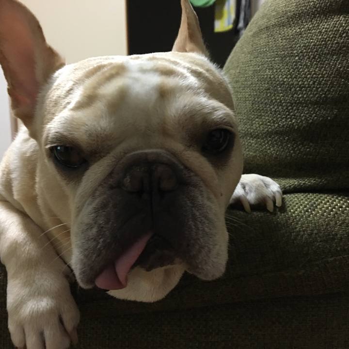 726202d4 d61e 42d8 a34f 051dc8c088e1