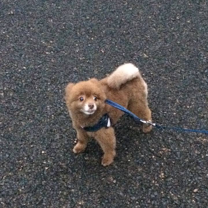 72623a26 845d 4544 bea7 9e4ce503aa6c