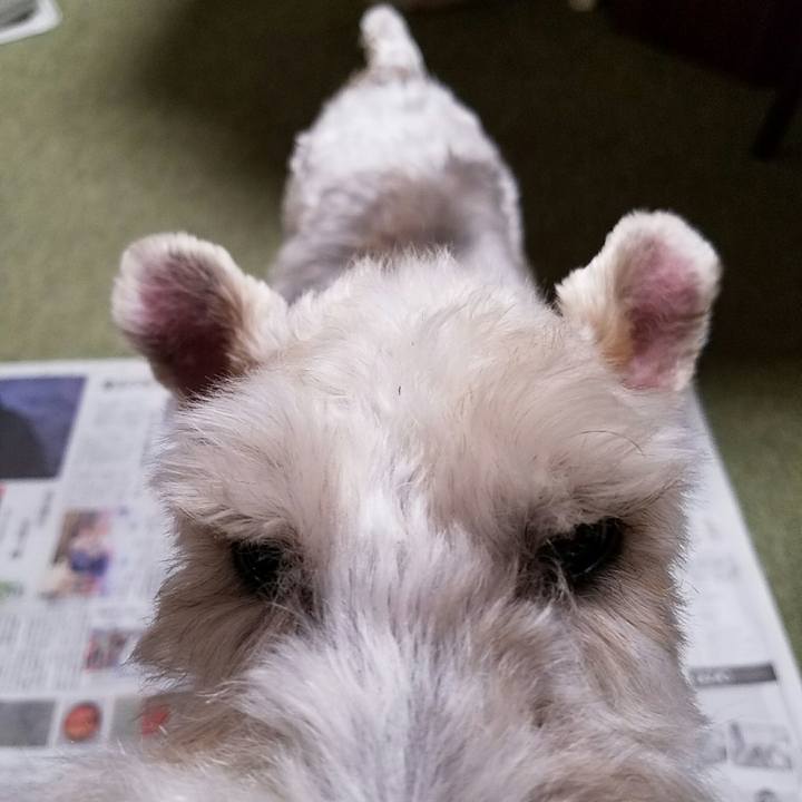 7262c0c6 3684 4334 b5df acfc8a036de8