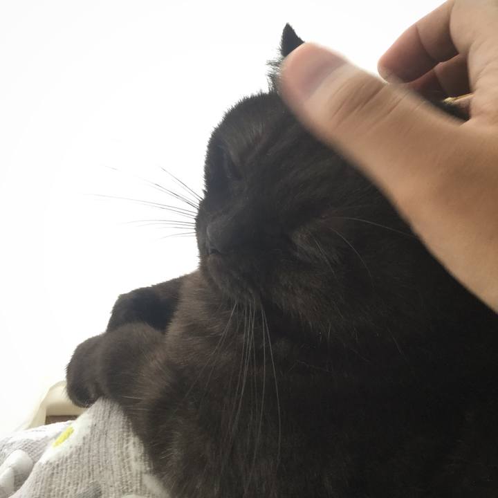 726329f7 b8ee 4e4b 97aa e8b7b9aa7d27