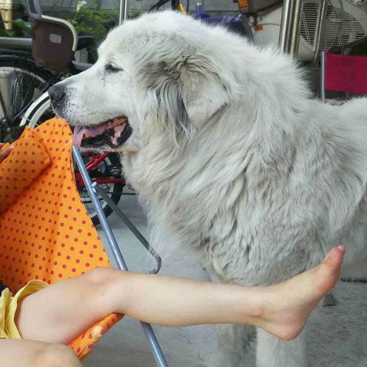 72637a0c 4c5c 4c76 9a37 f5ad01fba252