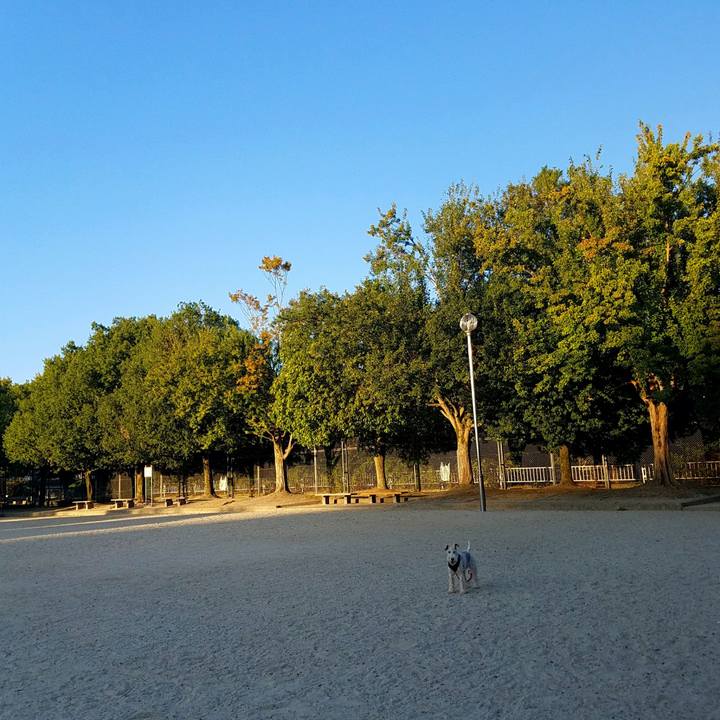 7263c4d6 e0f5 474f b3ea 4dcd4a4bf0d1