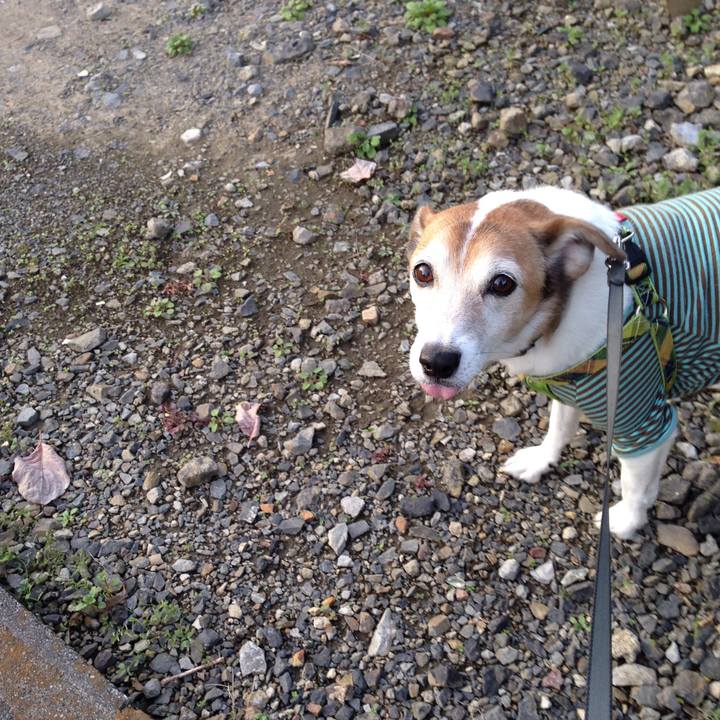 7263d0be 18d1 4c7a 9dc9 477303b4bb5d