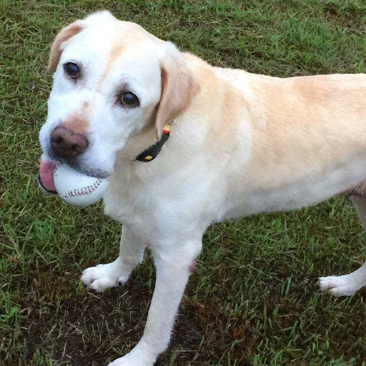 726460da 68ee 4ab9 9f05 364fdd9339d4