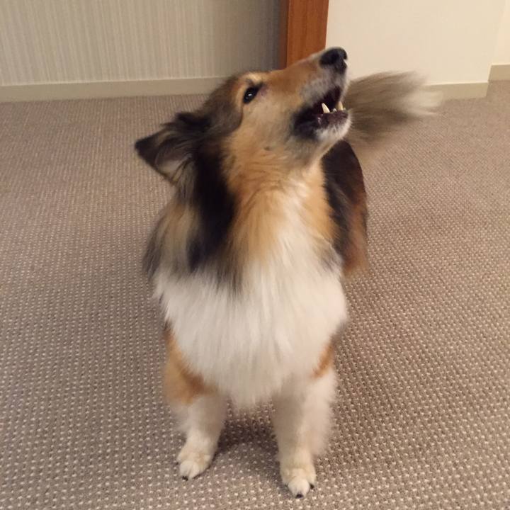 72648ca4 db99 43f9 9a04 d746121669e4