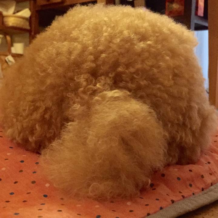 7264d1a2 a8d2 4912 9c0c d1b340524f87