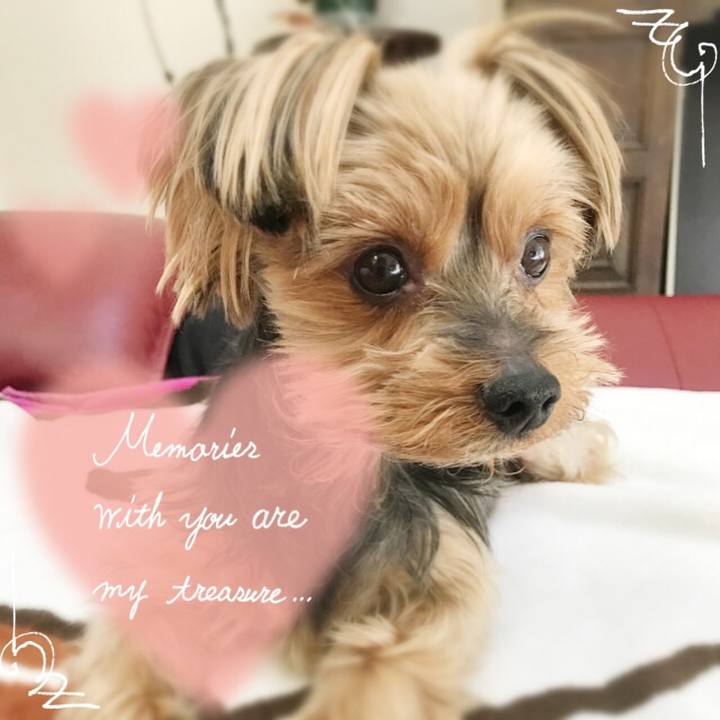 726588e5 c4e9 4bf8 a5c2 073f266249b5