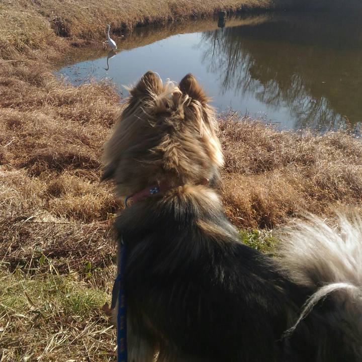 7265e370 1626 40cd 82c0 3d57336ce691