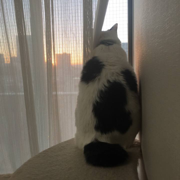 7266aecc 3820 459e a4fb 22501c5d176c