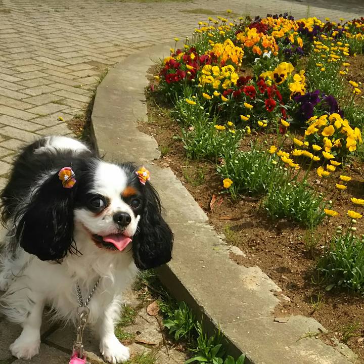 7266e08d 0a06 49a8 81a2 5e41738c741a