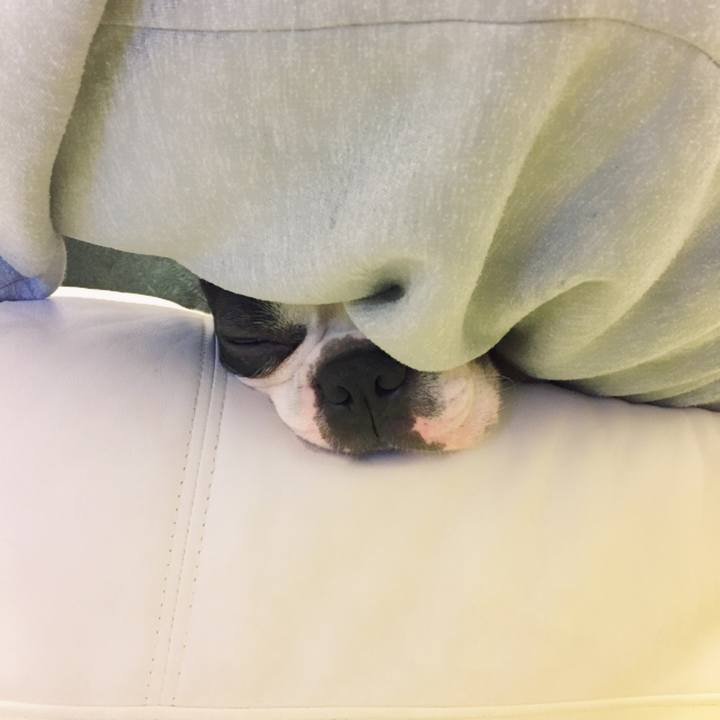 726806aa 0644 4eb1 a85b 5d911b6c3c24