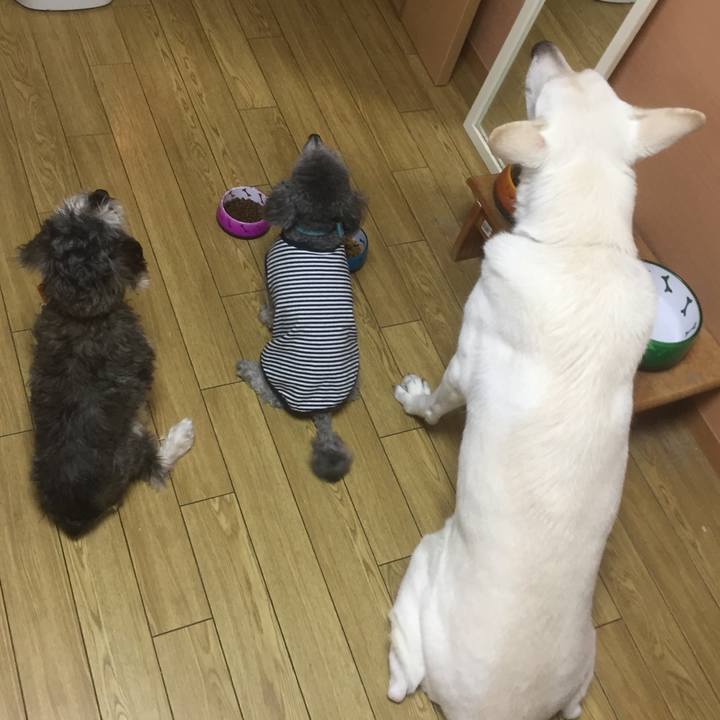 7268bef8 0348 4e6c 8923 eded94bcb6db