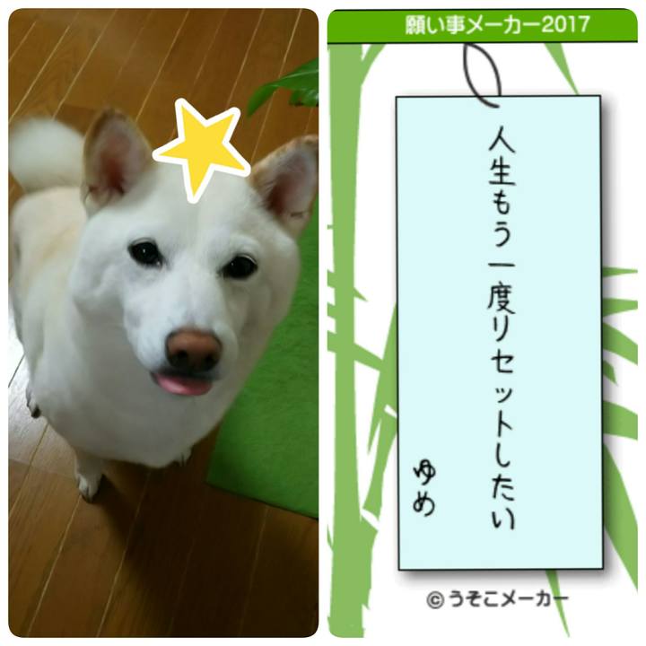 7268ef2a 42f1 4f42 82e8 c293507ebd98