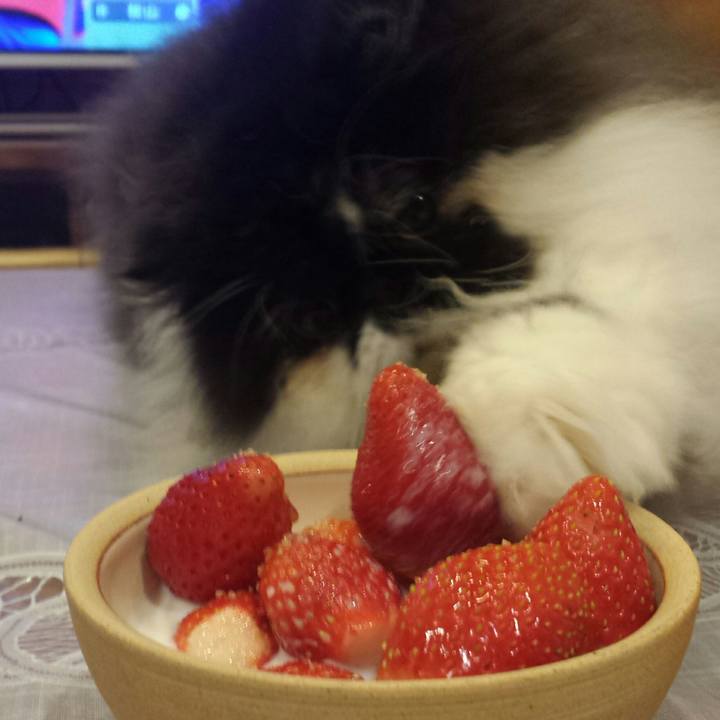 7269118e 78d3 4b50 a0b7 f20aeca51139