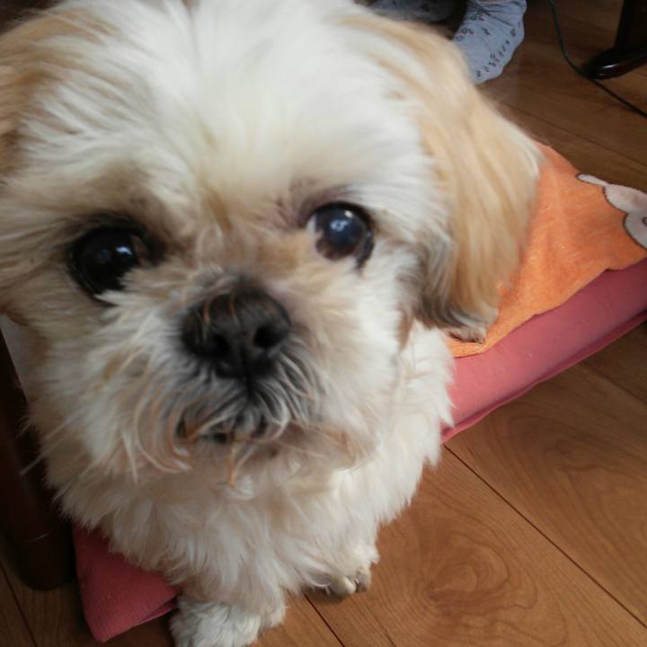 7269145c f680 4dce b6f2 04521bd0fdc9