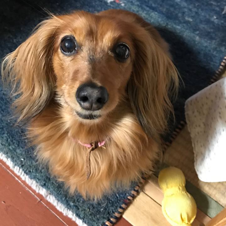 72698354 989d 48c0 b38b ab3a7d8704de