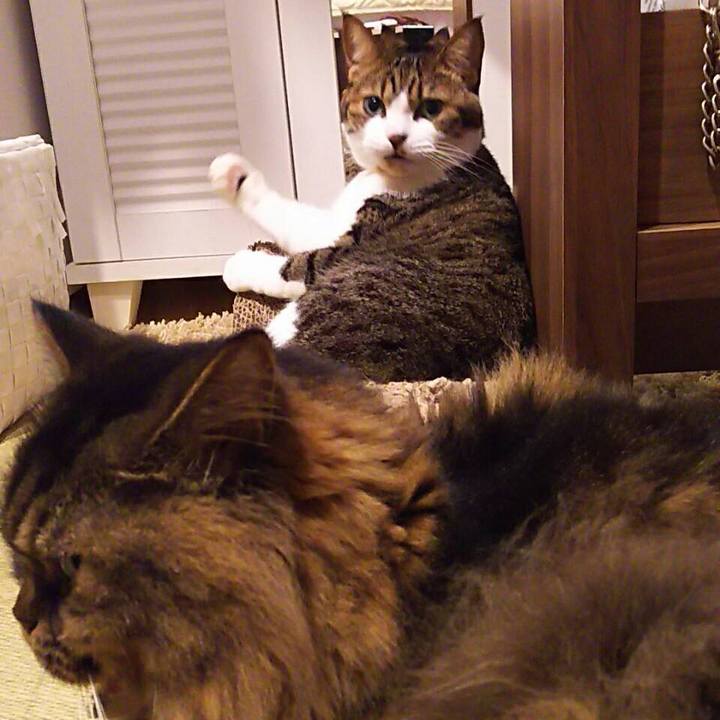 7269bf5f 8bb1 4ad8 b779 75abb7f0a538