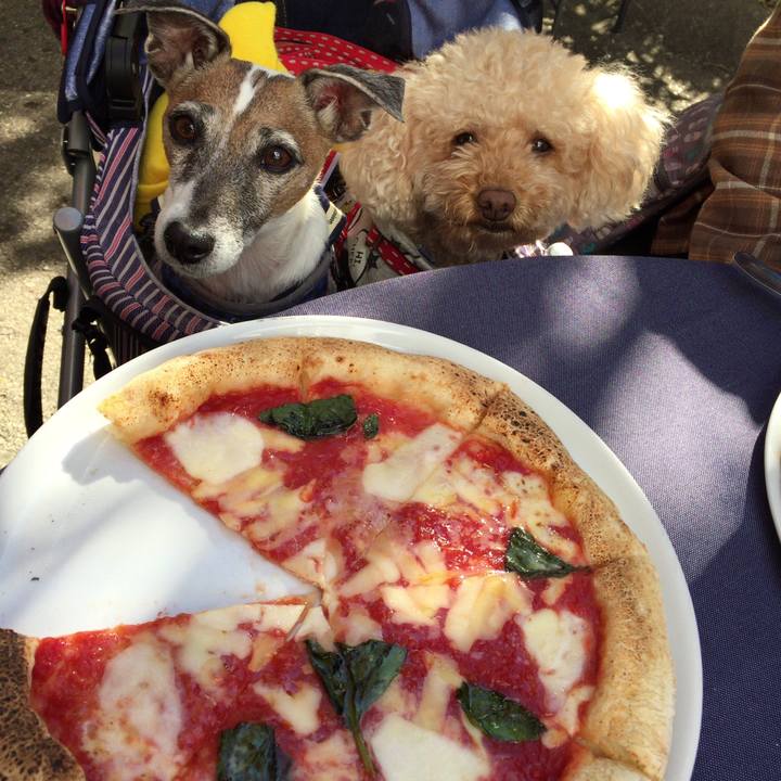 726a2d7b acb3 41b3 806c 9a5d4b7bf551