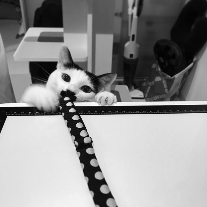 726b2bb9 6ee1 4edb 93d7 17e4c2f0a3d0