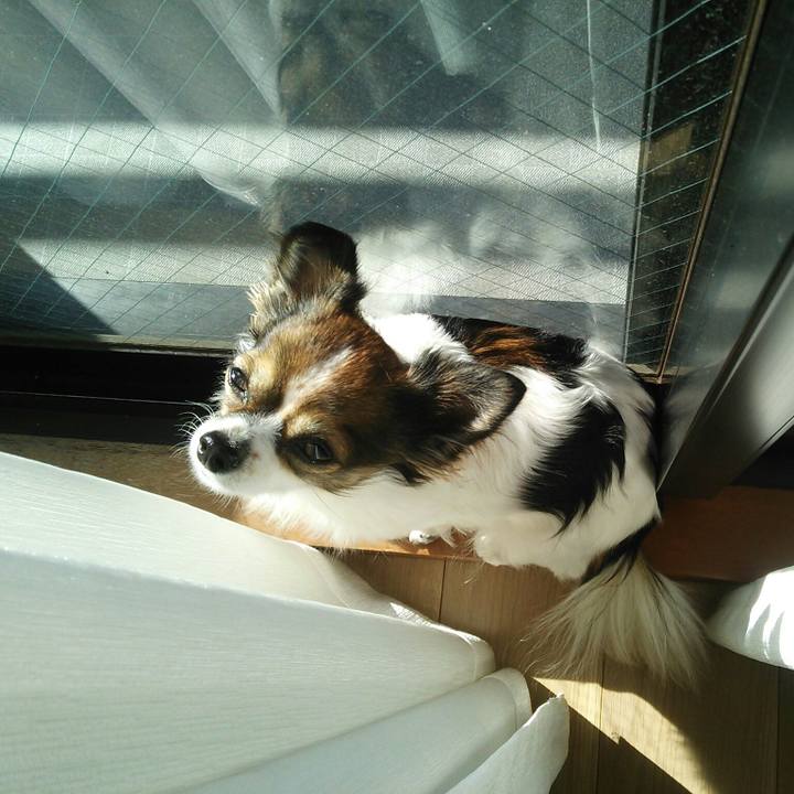 726b4163 9a7a 443c 9676 be0177075d92