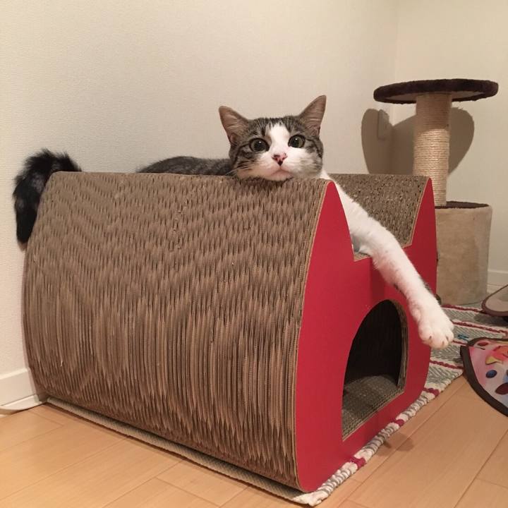 726c14ed a487 43df af9f fc9b1a4cb94c