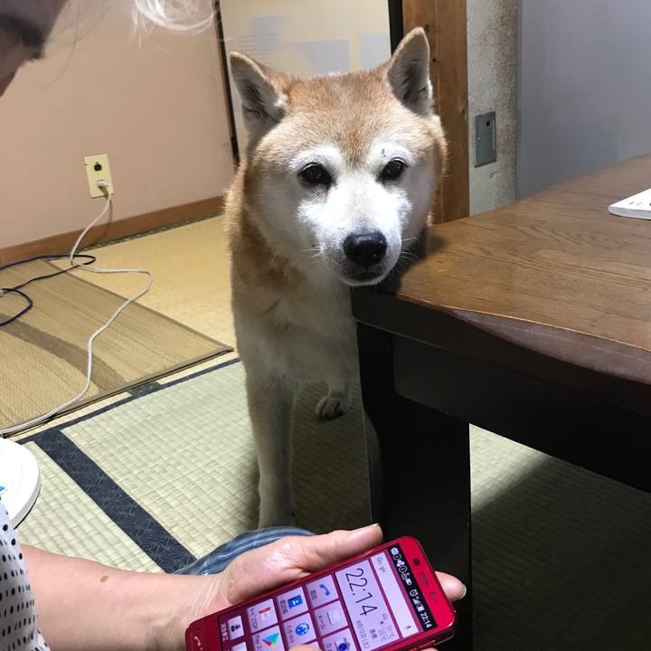 726d3e1c 0ca5 4f4f 87ea b73052a989b3