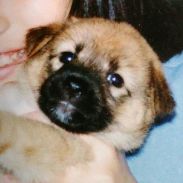 726dcf3d 87f5 4e8f a06a f1baee32e4bf