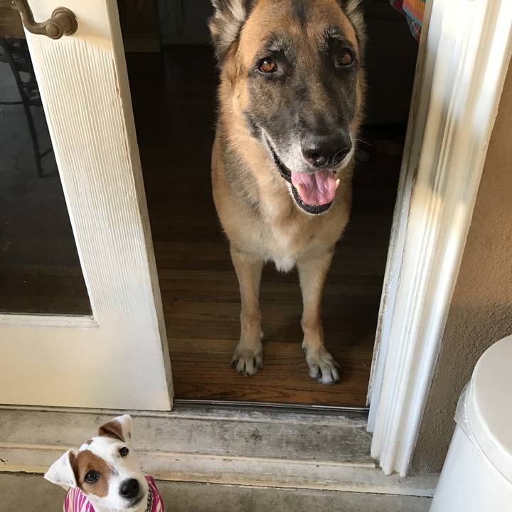 726e1f02 7fbd 4241 8d67 eede76078fff