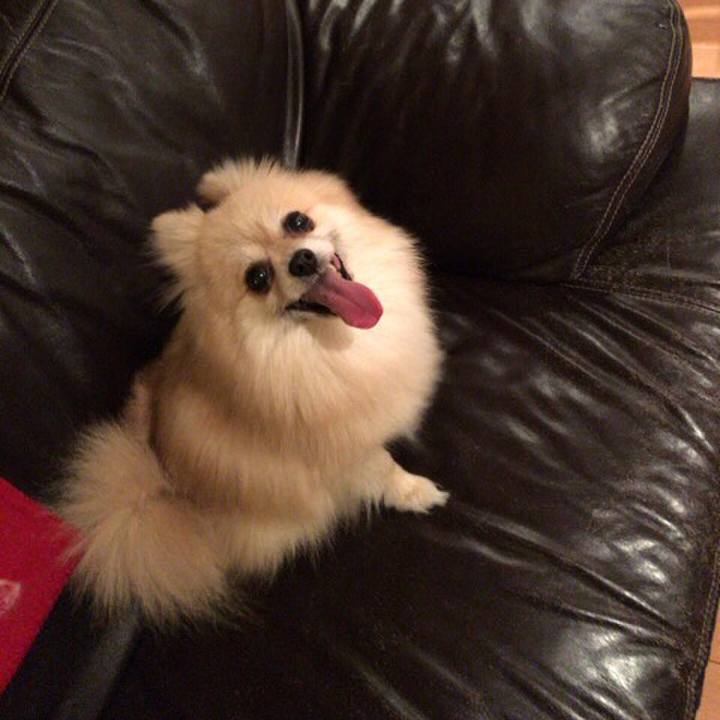 726e6d8f 0c2f 474e 9df3 d186da15da8d