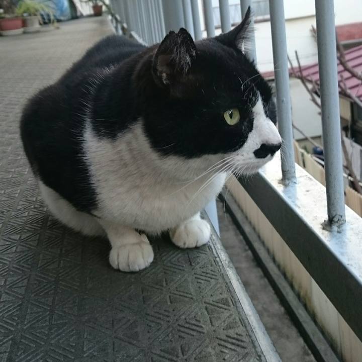 726ecdfb 1020 4963 8a69 87673b5de714