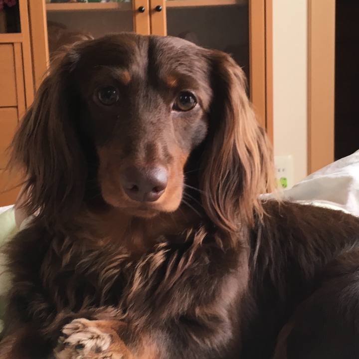 726f07be b3cd 49c5 bc49 43dbbcf3c460