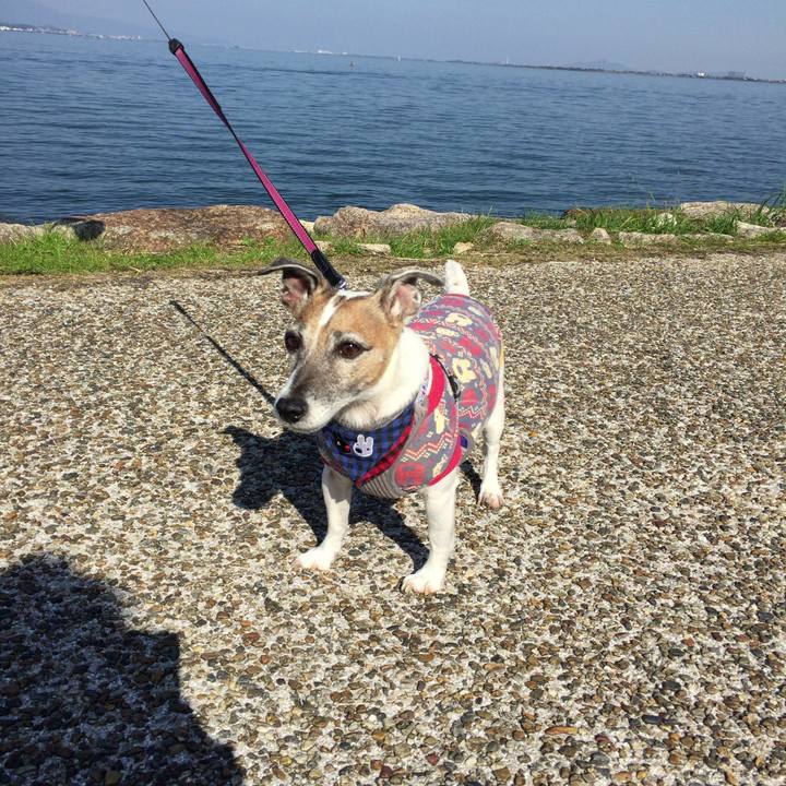 72708f3b 3a13 420a b181 c7bf722ca03b