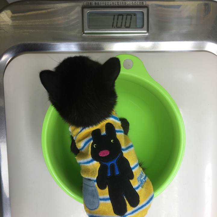 72716a34 8cb1 4724 8bee 9985c9aec438