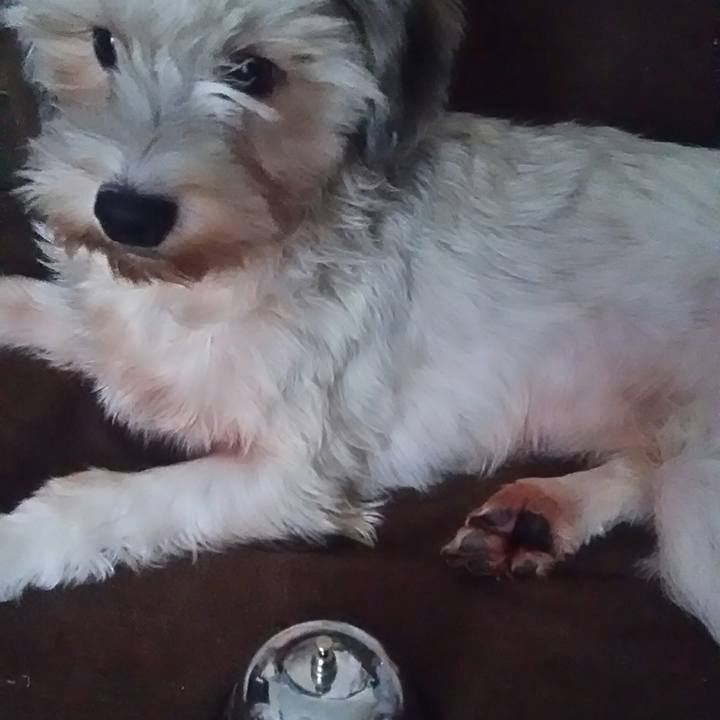 72717dc0 bb20 4dd0 8844 8256d9a0ab8a