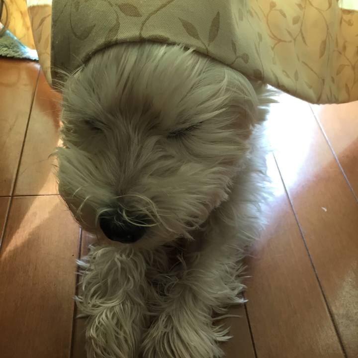 7271fc2c 0427 4176 8605 8b427b276af0