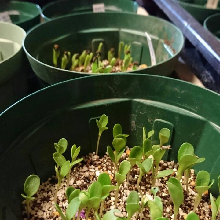 72722fff 685c 4510 98ab 428f5e06937a