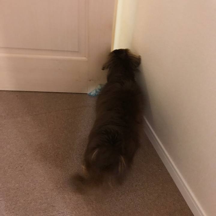 727246ff cc5c 4cd7 b1ad 65be421ecbd6