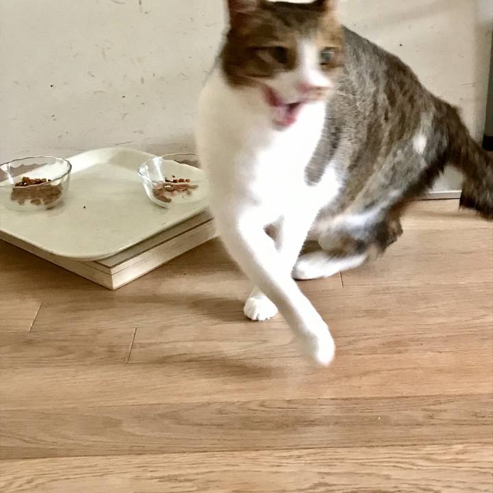 7272a117 4de6 4bcd aa0c b55883ca7bc2