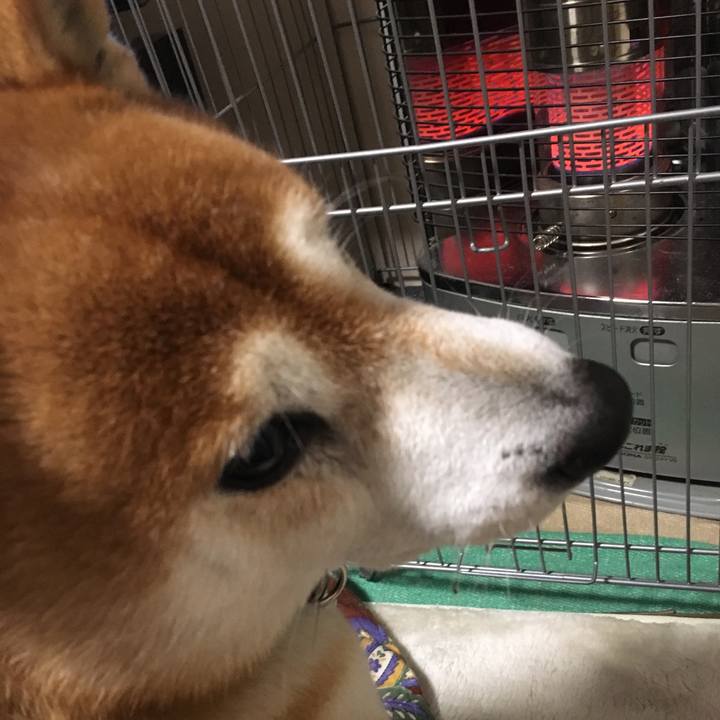 7273fd3c 291b 4451 81e0 544e1828d9b3