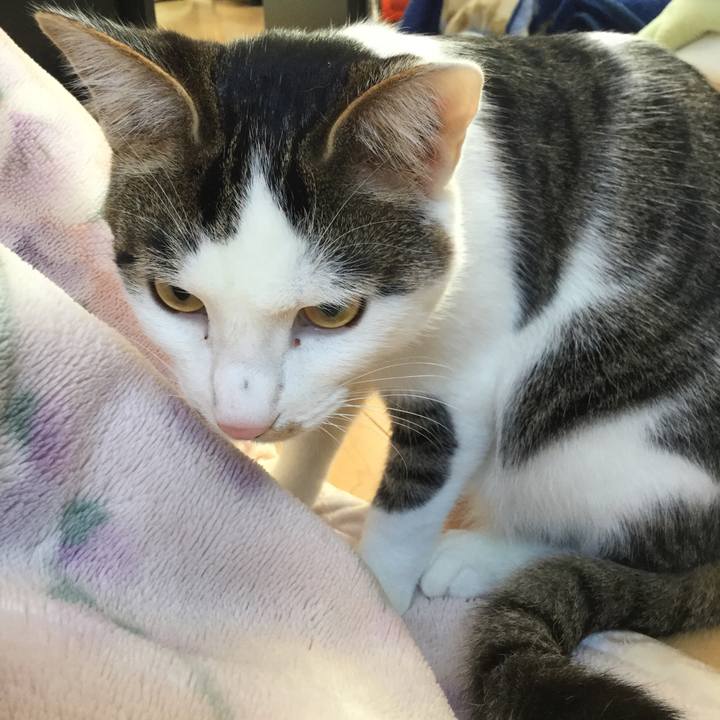 727403ec 9b83 43bb 91a9 8f7a428c27a1