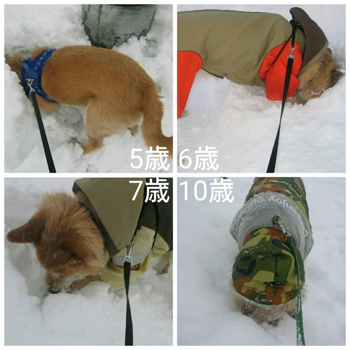 72749ab9 9303 446e 88b6 0e3e8a984de7