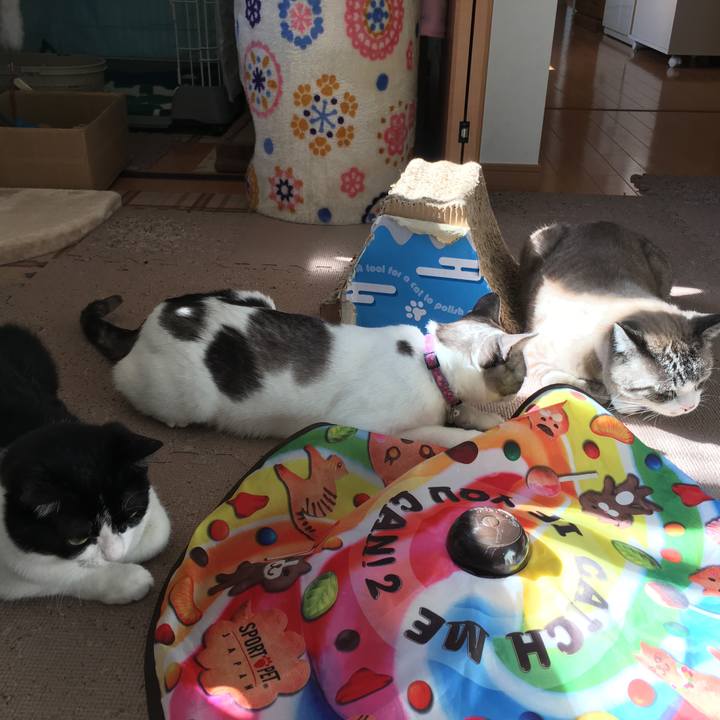 72754c45 0a15 4506 89a4 2988f9752f0e