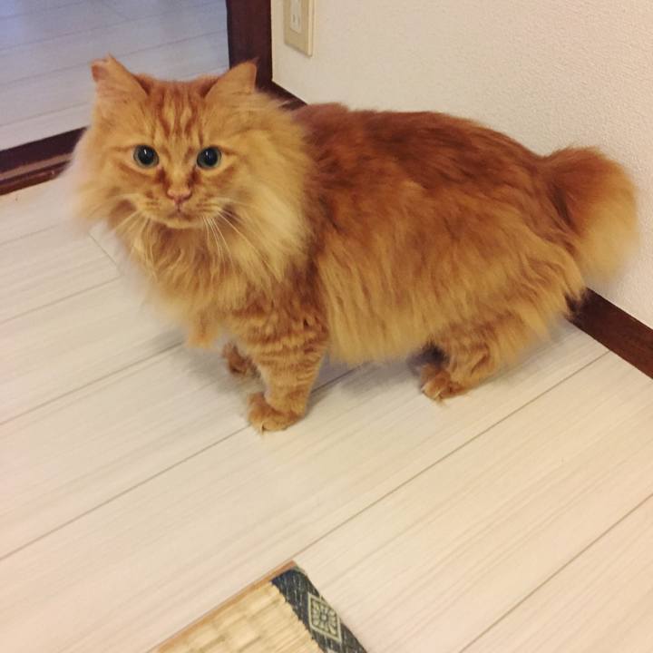 7275ee41 c89d 4c4a 9765 9375818b5dc1