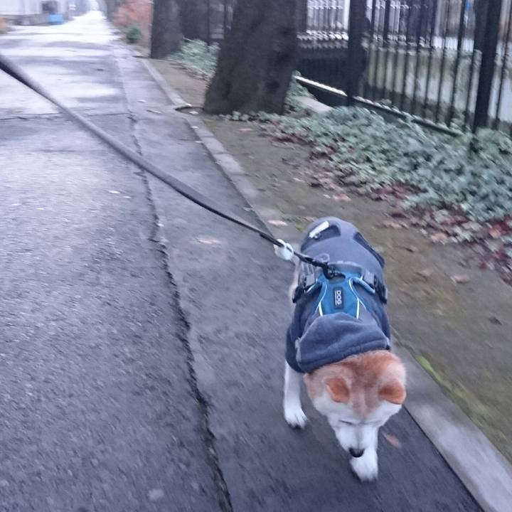 72760c31 f7f9 4383 a96d 0c478926fcd5