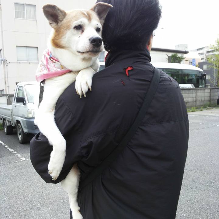 72763bc7 2470 405b ac8a d847a75db3db